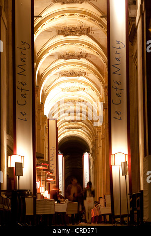 Diners bei des Louvre Le Café Marly Stockfoto