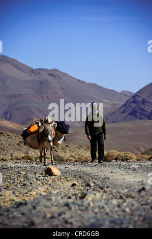 Nomad Berber mit seinem Esel in der Dades Tal, Altas Berge, Marokko Stockfoto