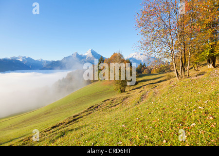 Alm und Watzmann, Berchtesgadener Alpen, Berchtesgadener Land, Bayern, Deutschland, Europa Stockfoto