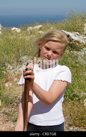 Europäische Glas Eidechse, Panzerglas Eidechse (Ophisaurus Apodus, Pseudopus Apodus), einzelne Tier in den Händen eines kleinen Mädchens, Griechenland Stockfoto