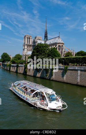 Notre Dame und Ausflug Boot am Fluss Seine, Paris, Frankreich, Europa Stockfoto