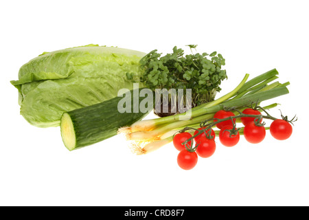 Salatzutaten, Kopfsalat, Kresse, Gurken, Tomaten und Zwiebeln isoliert gegen weiß Stockfoto