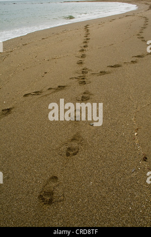 Fußabdrücke auf einem Sandstrand (2) Stockfoto