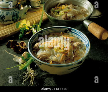 Glasnudelsuppe mit Fleischbällchen und gemischtem Gemüse, herzhafter Eintopf, Porzellan. Stockfoto