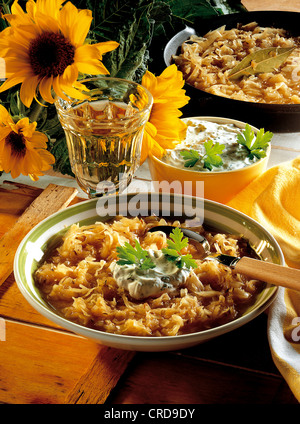 Sauerkrautsuppe mit Sauerrahm, vegetarischer Eintopf, Ungarn. Stockfoto