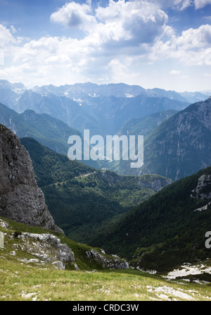 Blick auf die Pinienwälder der Julischen Alpen in Slowenien Stockfoto