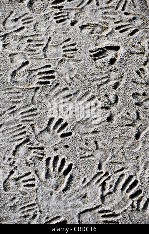 Viele Abdrücke von Händen in Beton, Linderung von Handabdrücke von Kindern Stockfoto