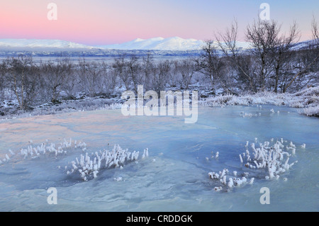 Winterlandschaft im Abisko Nationalpark, Schweden, Lappland, Norrbotten Stockfoto