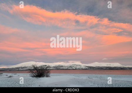 mitten im See Tornetraesk, Schweden, Lappland, Norrbotten Stockfoto