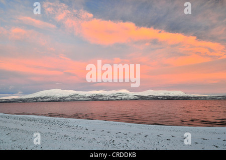 mitten im See Tornetraesk, Schweden, Lappland, Norrbotten Stockfoto