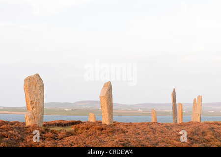 Der Ring of Brodgar auf den Orkney-Inseln bei Sonnenuntergang Stockfoto