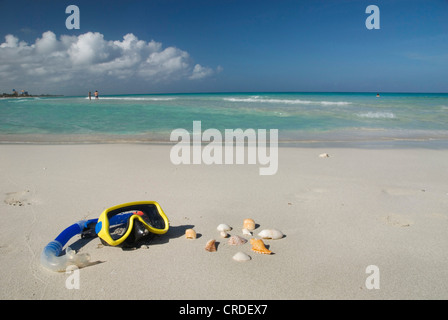 Schutzbrille und Muschelschalen am Strand, Varadero, Kuba, Karibik Meer tauchen Stockfoto