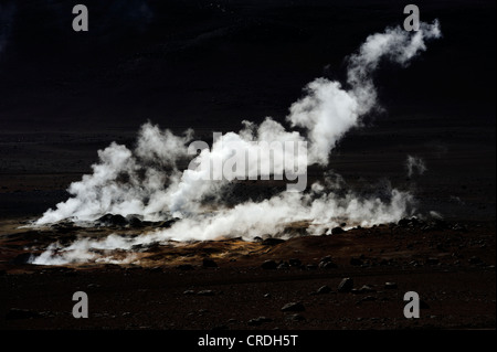 Dampfende Erde, Uyuni, Bolivien, Südamerika Stockfoto