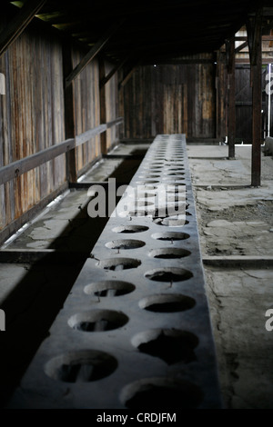 WC-Raum in das Konzentrationslager Auschwitz-Birkenau, Polen, Europa Stockfoto