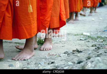 Mönche in ihren morgendlichen betteln um Almosen in Luang Prabang, Laos, Südostasien Stockfoto