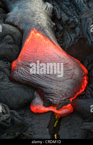 Geschmolzene Pahoehoe Art Lava fließt durch einen Riss in der East Rift Zone in Richtung Meer, Lavafeld des Vulkans Kilauea Schild Stockfoto