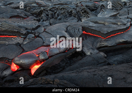 Geschmolzene Pahoehoe Art Lava fließt durch einen Riss in der East Rift Zone in Richtung Meer, Lavafeld des Vulkans Kilauea Schild Stockfoto