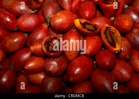 Baum Tomate (Cyphomandra Betacea, Cyphomandra Crassicaulis), auf dem Markt, Madeira, Funchal Stockfoto