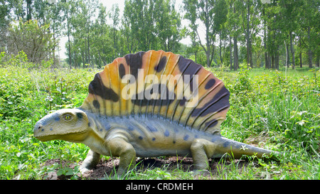 Edaphosaurus (Edaphosaurus), Säugetier wie Reptilien, auf der die ersten terrestrischen herbivors Stockfoto