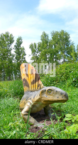 Edaphosaurus (Edaphosaurus), Säugetier wie Reptilien, auf der die ersten terrestrischen herbivors Stockfoto