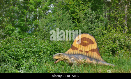 Dimetrodon (Dimetrodon), Säugetier wie Reptil Stockfoto