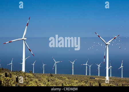 Endesa Windkraftwerk, erstellt im Dezember 2009, 18 Megawatt-Anlage in das Niemandsland zwischen der Panamericana Stockfoto