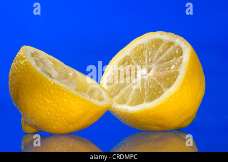 zwei Stücke von Zitrone, eine gepresste Stockfoto