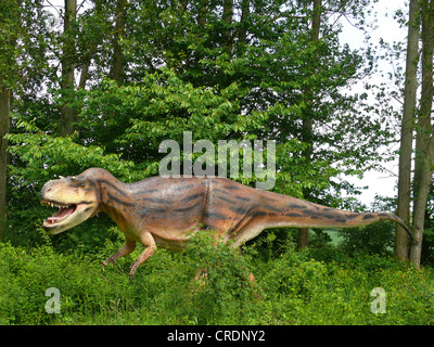 Albertosaurus (Albertosaurus) angreifen Stockfoto