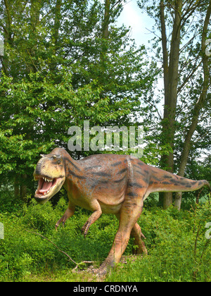 Albertosaurus (Albertosaurus) angreifen Stockfoto