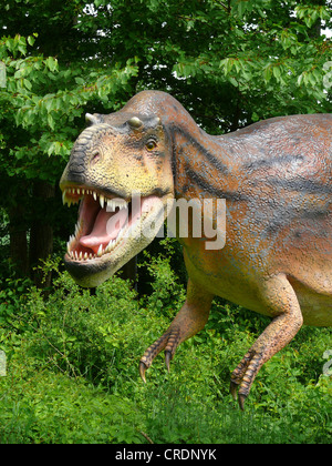 Albertosaurus (Albertosaurus) angreifen Stockfoto