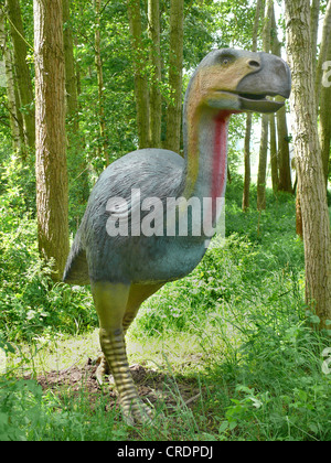 Diatryma (Diatryma), ausgestorbene Gattung der großen flugunfähigen Vogel Stockfoto