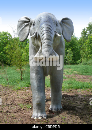 Platybelodon (Platybelodon), primitive ausgestorbener Elefant Stockfoto