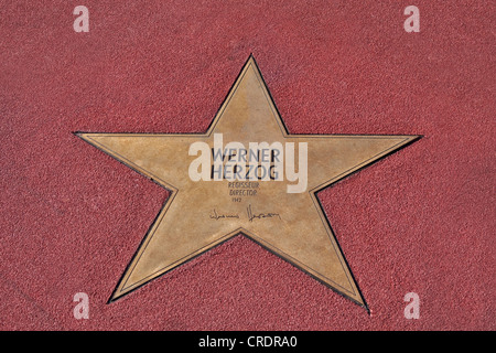 Stern von Werner Herzog, Boulevard der Stars, Spaziergang von Sternen, Platz, Potsdamer Platz Berlin, Deutschland, Europa Stockfoto