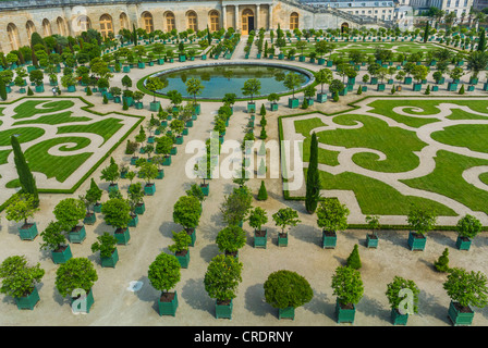 Paris, Frankreich, malerische Luftaufnahme, der "Chateau de Versailles", Französisch Schloss, Orangerie Gärten Stockfoto