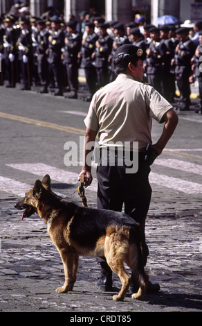 Polizei mit Hund in Arequipa Day Parade. Peru. Stockfoto