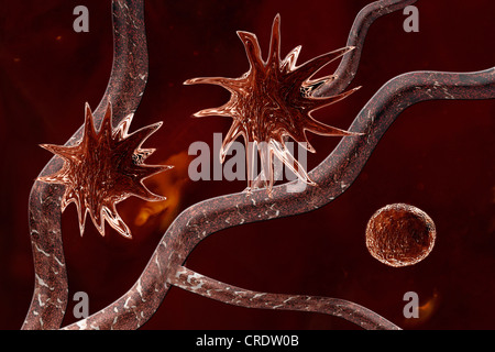 Tumor in einem frühen Stadium, Angiogenese, illustration Stockfoto