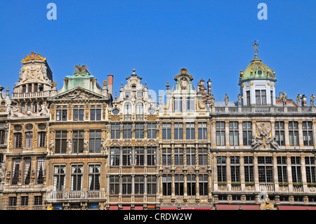 Zunfthäuser am Grote Markt Platz, Grand Place Platz, Brüssel, Belgien, Europa, PublicGround Stockfoto