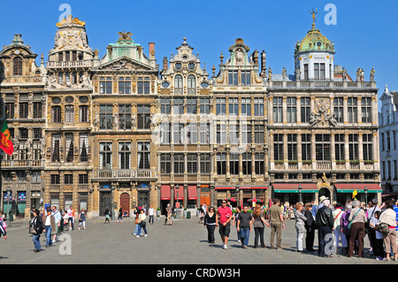 Zunfthäuser am Grote Markt Platz, Grand Place Platz, Brüssel, Belgien, Europa, PublicGround Stockfoto