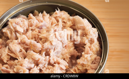 Gehackter Thunfisch in der Dose Nahaufnahme Foto Stockfoto