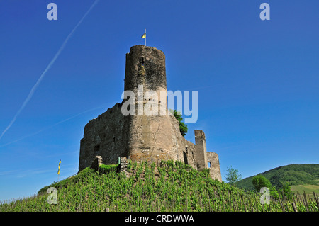 Burg Landshut Burg in Bernkastel-Kues, Rheinland-Pfalz, Deutschland, Europa, PublicGround Stockfoto