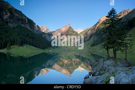 Am frühen Morgen am Seealpsee-See mit Blick auf Mt Säntis und Alpstein Bereich, Schweiz, Europa Stockfoto