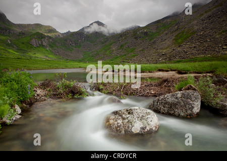 Berg-Stream und Beaver dam in den Talkeetna-Bergen in Alaska, USA Stockfoto