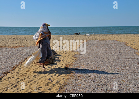 Getrockneter Fisch Fische Trocknen auf Kokosmatten am Strand, die Arbeit der Frauen, Negombo, Sri Lanka, Südasien, Asien Stockfoto