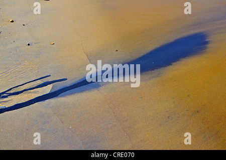 Ölteppich auf dem Strand, Galle, Sri Lanka, Ceylon, Süd-Asien Stockfoto