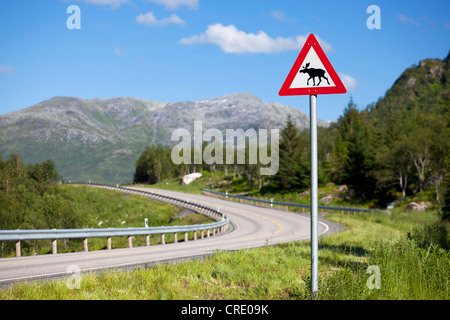 Elch-Warnschild am Straßenrand von einer Straße in den Lofoten Inseln, Norwegen, Skandinavien, Europa Stockfoto