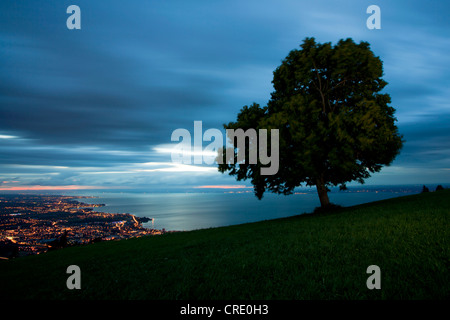 Blick über den Bodensee zur blauen Stunde mit Rorschach gesehen aus Rorschacherberg Berg in der Schweiz, Europa Stockfoto