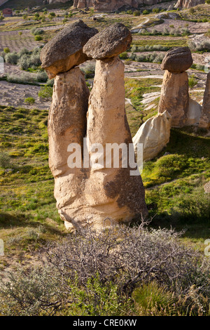 Tuffstein Feenkamine mit Basalt-Blöcke platziert an der Spitze, Felsformationen am Cavushin, Göreme, UNESCO-Weltkulturerbe Stockfoto