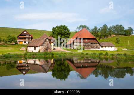 Bauernhof in der Nähe von Hornberg im Schwarzwald, Baden-Württemberg, Deutschland, Europa, PublicGround Stockfoto