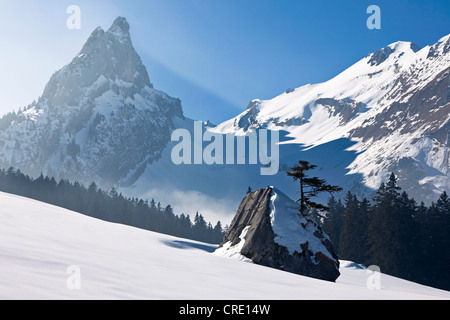 Landschaft, Schnee, Faelensee See und Bollenwees, Alpstein, Alpen, Appenzell, Schweiz, Europa Stockfoto