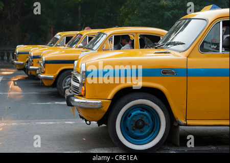Transport, vier gelbe Botschafter Taxis in Folge Chowringhee, Calcutta, Kolkata, Westbengalen, Indien, Südasien, Asien Stockfoto